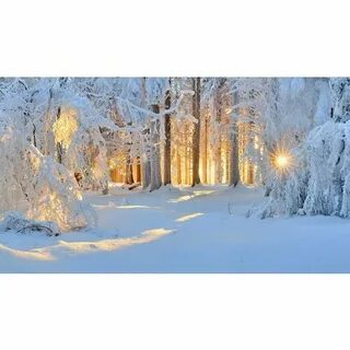 Красивая зимняя картинка с добрым пожеланием