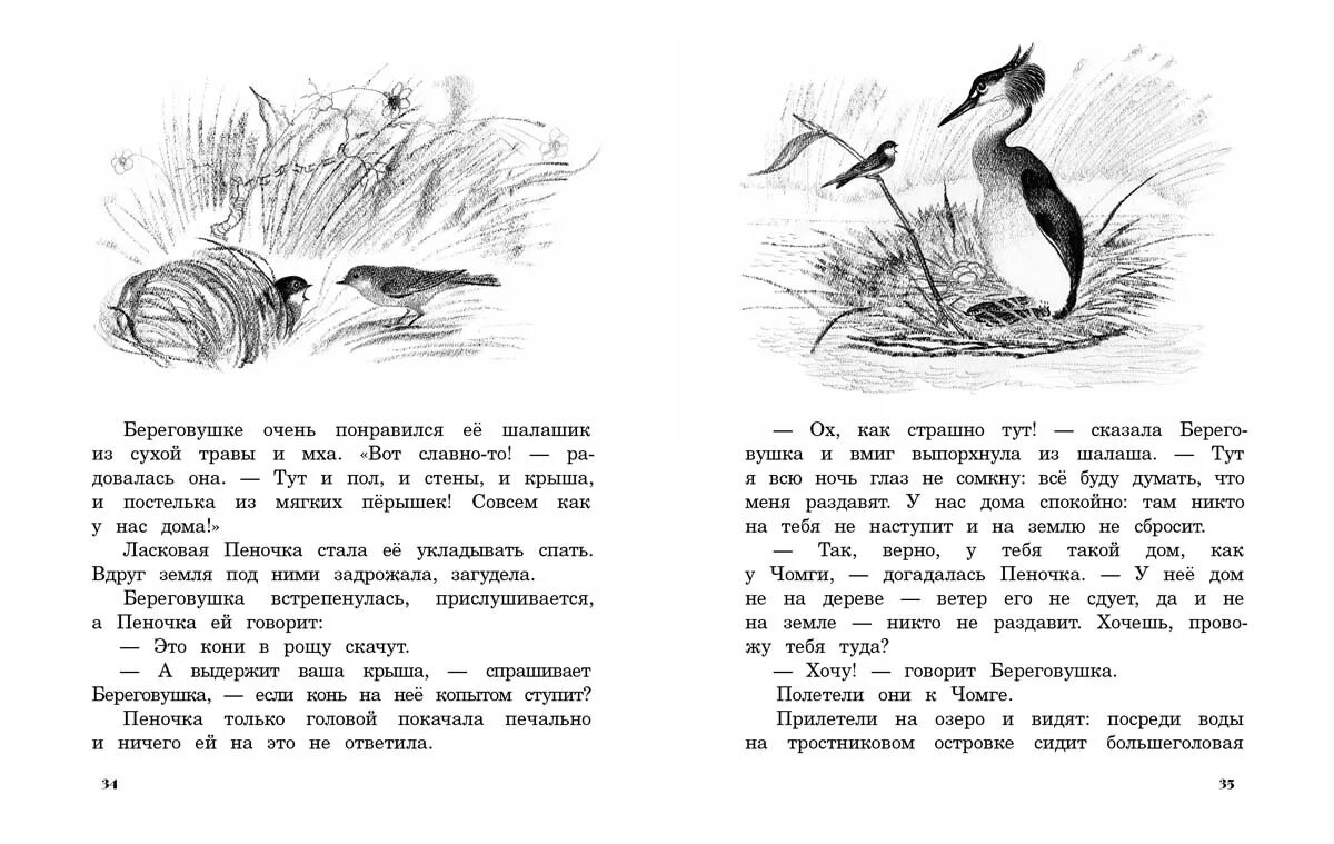 Чарушин раскраски для детей. Бианки насыпать на хвост зайцу. Бианки насыпать на хвост зайцу. Обложка книги кто чем поёт бианки. Заяц на дереве бианки.