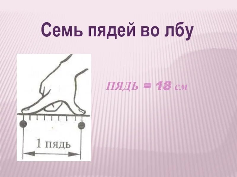 Фразеологизм семи пядей во лбу. Семь пядей во лбу. Семь пядей. Пядь. Семи пядей во лбу фразеологизм.