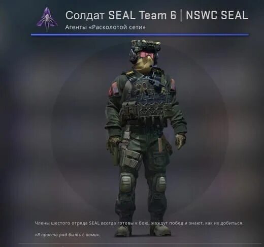 Бакшот nswc seal. Солдат seal team 6 кс го. солдат seal team 6 nswc seal кс го. агент кс го seal team 6. оперативники seal team 6.