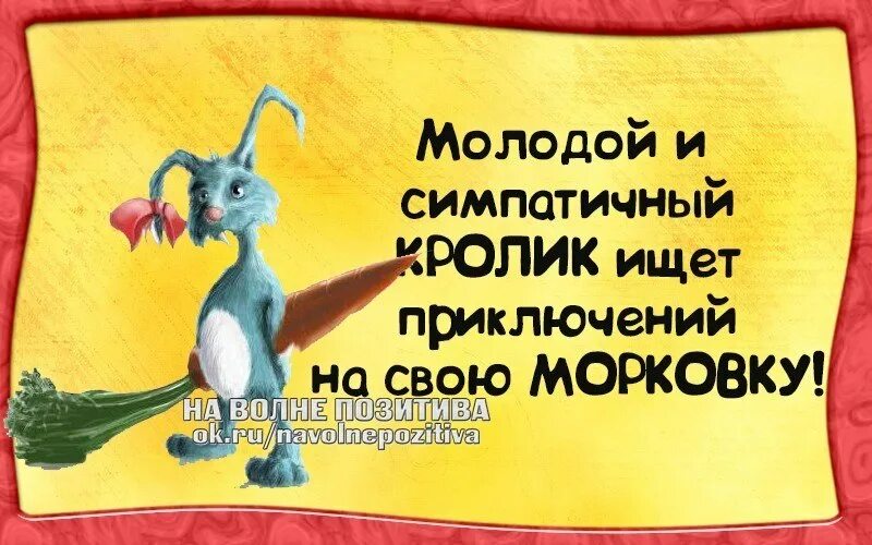 Как найти приключения. Приключения прикол. шутки про приключения.