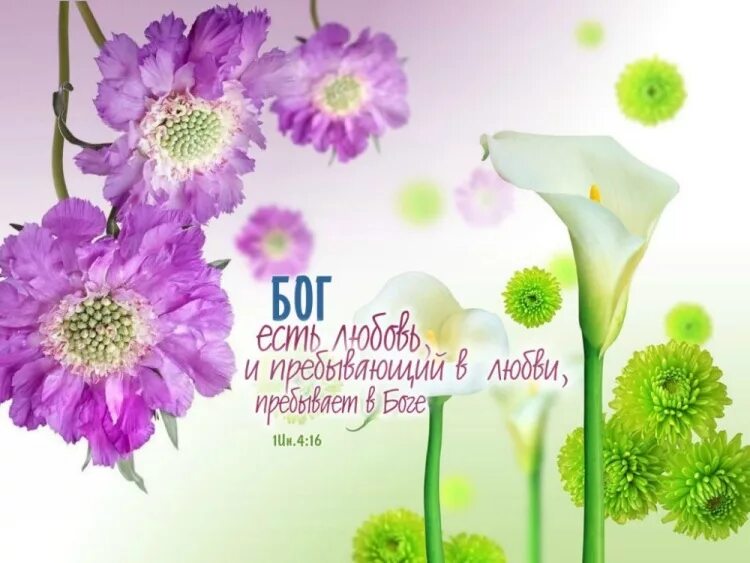 Христианские открытки с цветами. Обои с библейскими стихами. Христианские открытки на каждый день. Христианские пожелания на день. Христианские пожелания.