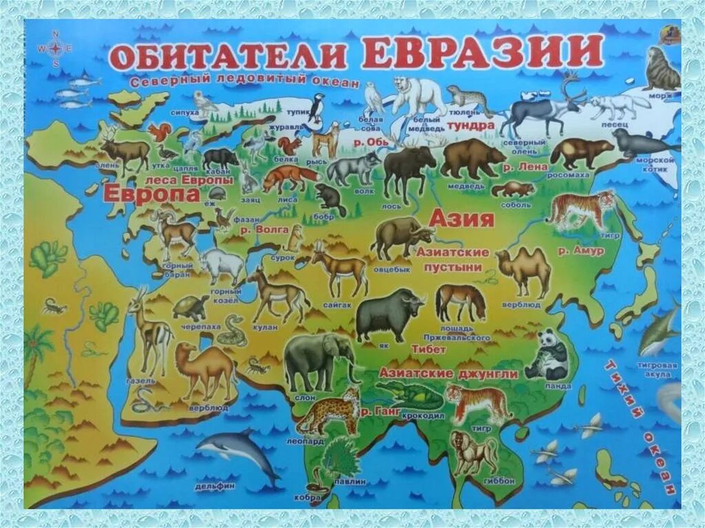 Жизнь евразии. Карта животных Евразии. Карта животных России. Животные разных континентов. Животные Евразии на карте.