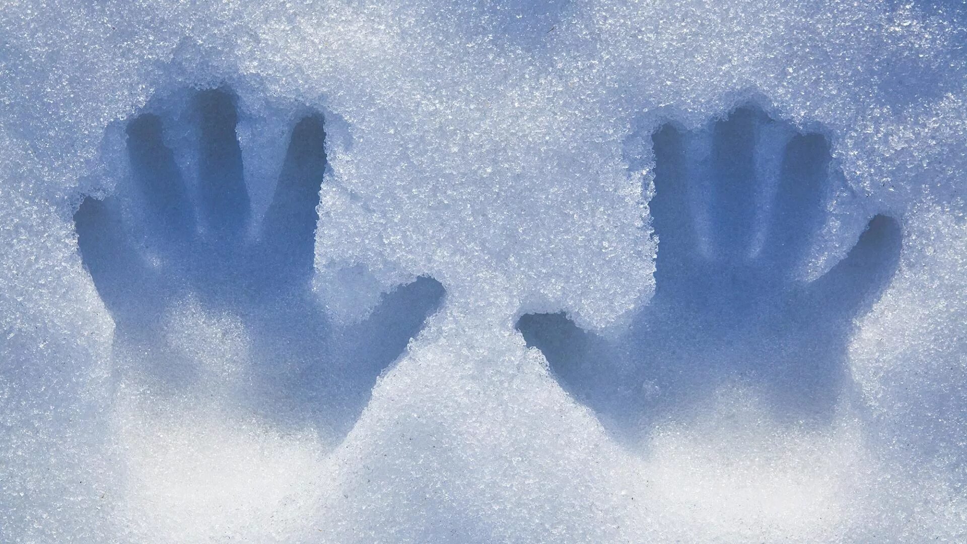 Эх холода холода холода. Отпечатки рук на снегу. Снег в руках. Снег на ладони. Снег в ладошках.