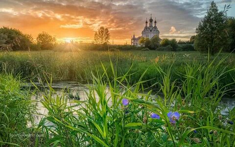 Трава церковь
