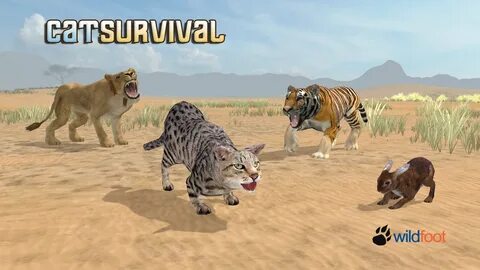 Игра дикие коты