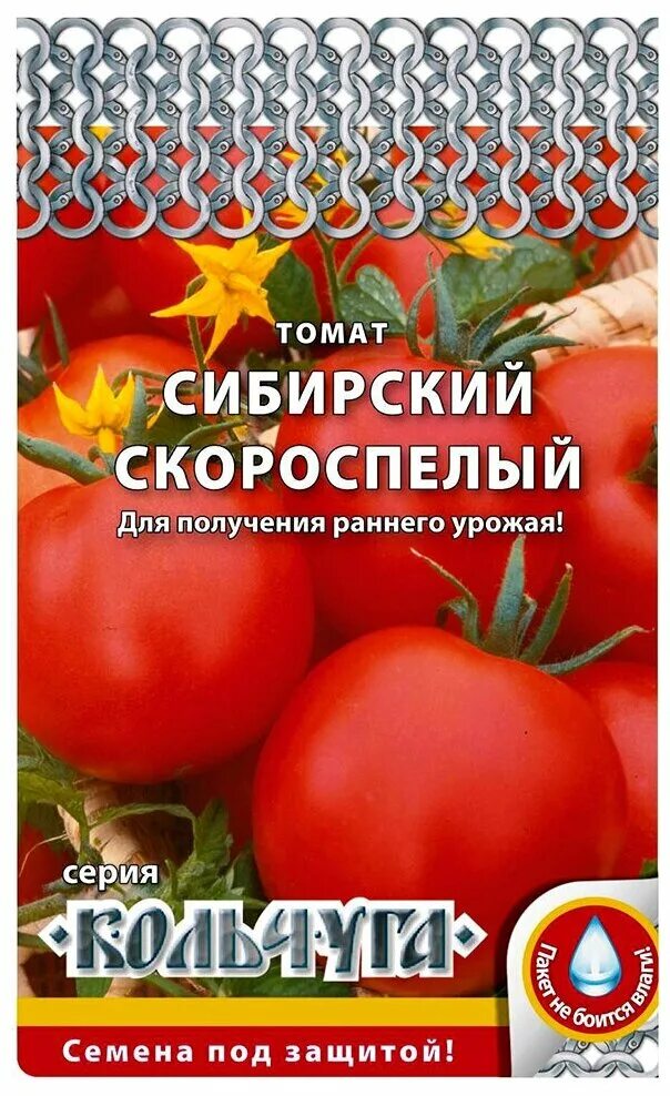 Купить семена томатов сибирской. Помидоры Сибирский скороспелый. Семена Кольчуга томаты сорта. Сорт помидоров Кольчуга. Семена помидор русский огород.