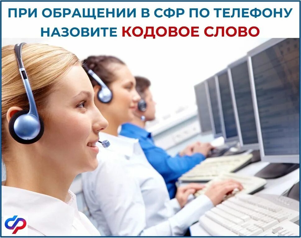 Wildberries служба поддержки телефон оператора