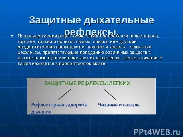 Какие защитные рефлексы. Защитные дыхательные рефлексы. Защитные рефлексы дыхательной системы. Защитные рефлексы в системе дыхания. Защитные рефлексы дыхательной системы физиология.