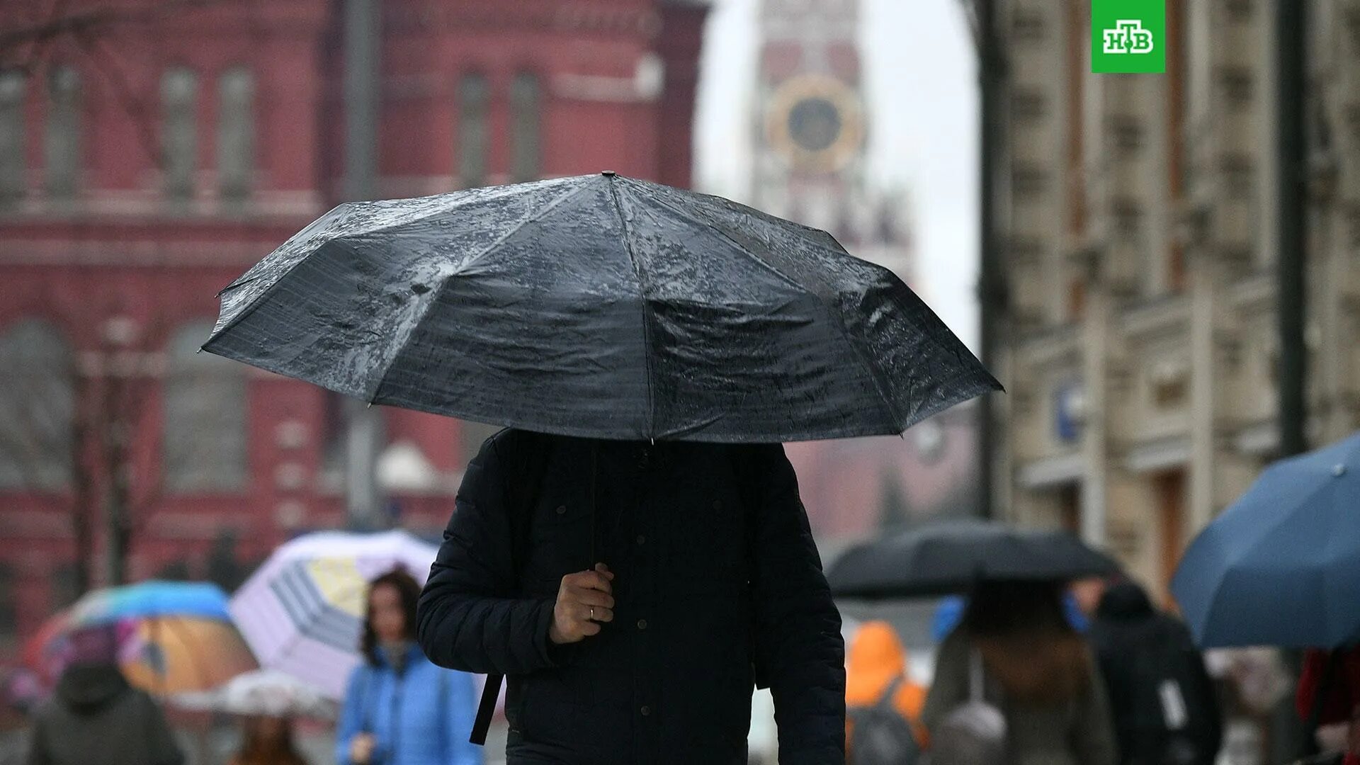 Погода москве дождь будет. Дождливая погода. Сильный дождь. Небольшой дождь. Осенняя дождливая Москва.