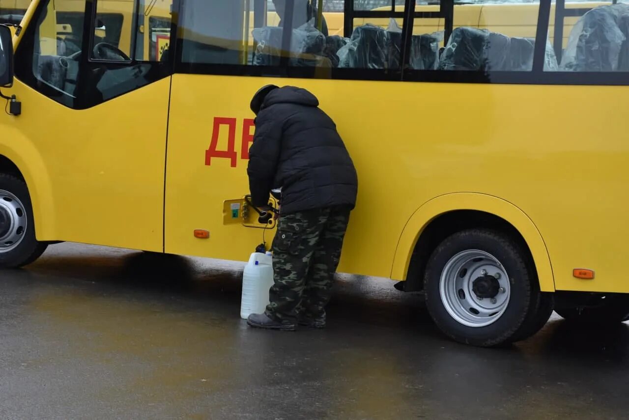 Школьный автобус ГАЗ. Школьный автобус ПАЗ. Водитель школьного автобуса. ГАЗ школьные автобусы Газель Некст.