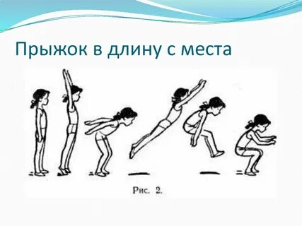 Правила прыжка в длину с места
