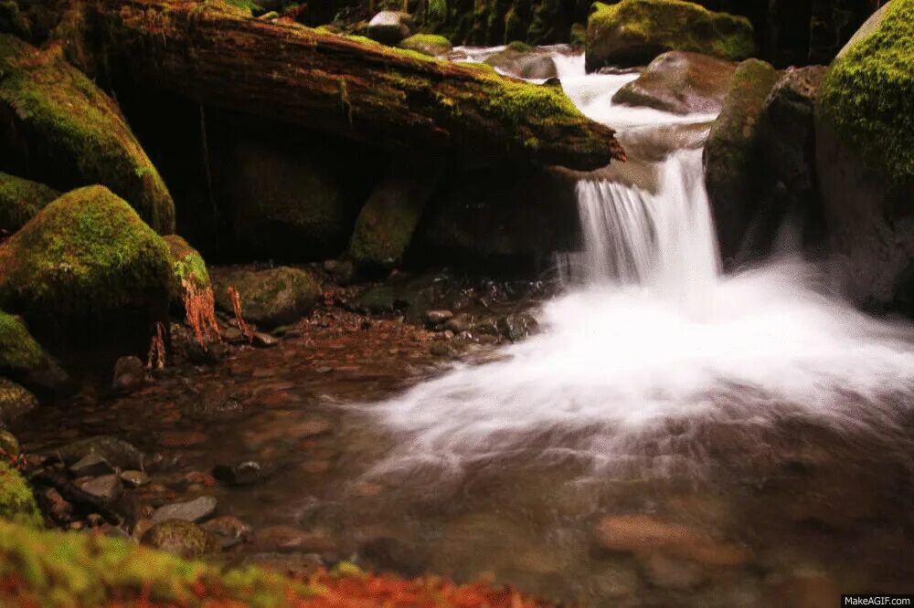 Живые картинки. Природа Живая движущаяся. Водопад анимация. Анимированные водопады. Водопад гиф.