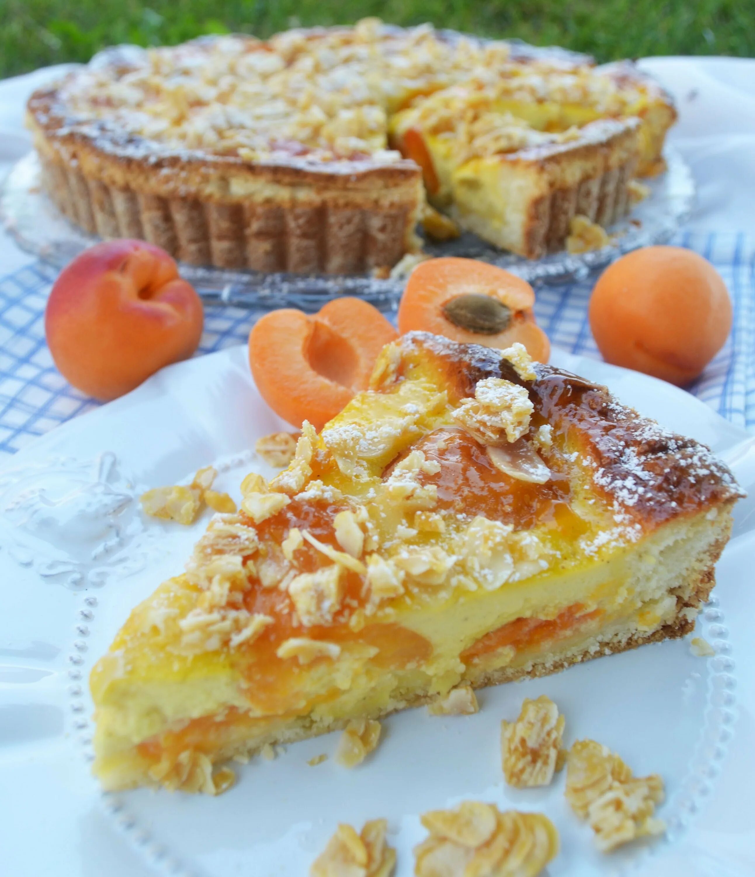 Творожный пирог с абрикосами. Абрикосовый пирог потрясающе вкусный рецепт. Пирог с абрикосом. Абрикосовый пирог. Пироги с абрикосами.