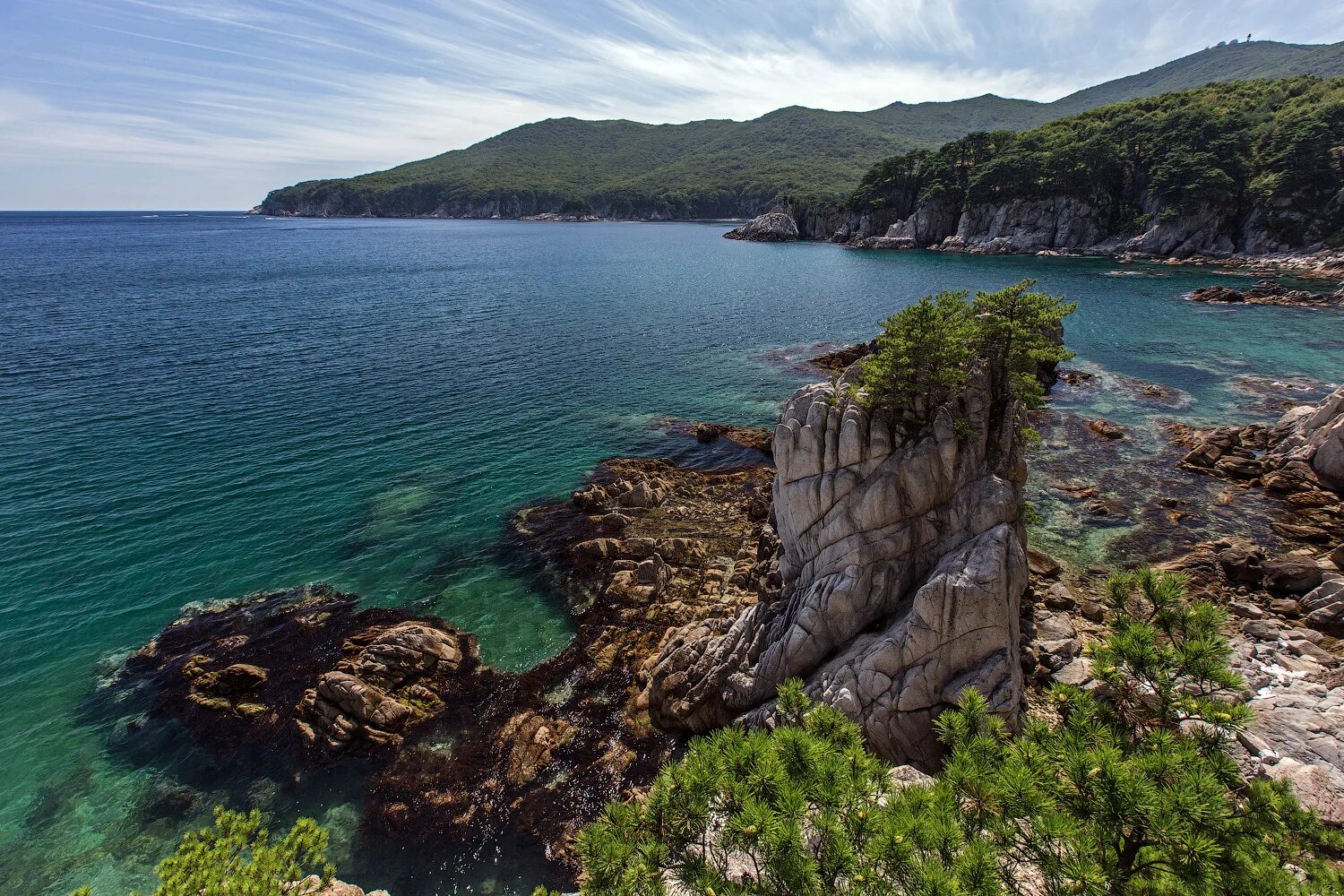 Хасанский районный приморского края. Морской заповедник Хасанский район. Дальневосточный морской заповедник Хасанский район. Заповедник Славянка Хасанского района Приморского края. Природа Хасанского района Приморского края.