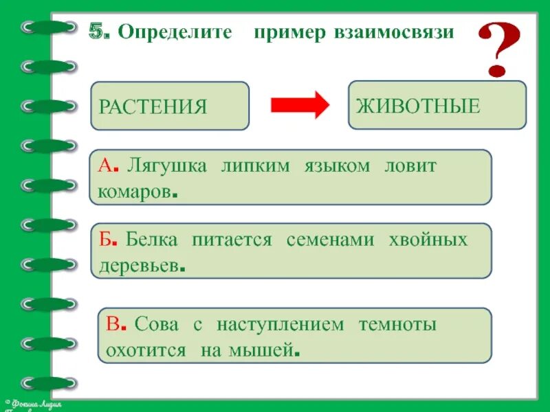 Невидимые нити 2 класс окружающий мир тест. Невидимые нити 2 класс тест перспектива. Невидимые нити человек и природа. Невидимые нити 2 класс тест перспектива. Окр мир 2 класс невидимые нити презентация.