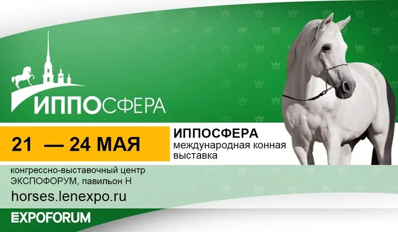 Иппосфера 2025 спб. Иппосфера. иппосфера лого. иппосфера 2025 фото. иппосфера спб.