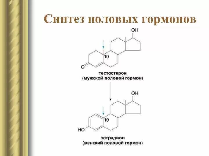 Схема синтеза половых гормонов. Химическая структура половых гормонов. Гормоны половых желез биохимия. Строение гормонов андрогенов. Действие женских половых гормонов