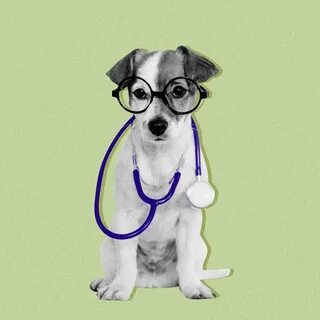 I dog know