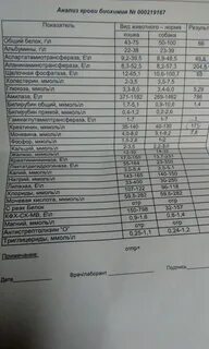 Какие анализы сдать на прием к ревматологу