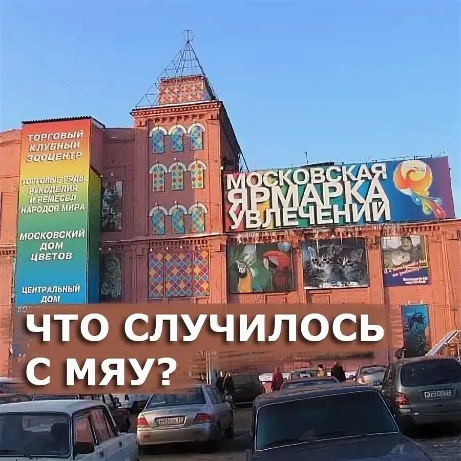 Мяу москва. Ярмарка увлечений Краснобогатырская. Московская ярмарка увлечений Краснобогатырская. Мяу Московская ярмарка увлечений. Московская ярмарка увлечений рынок.