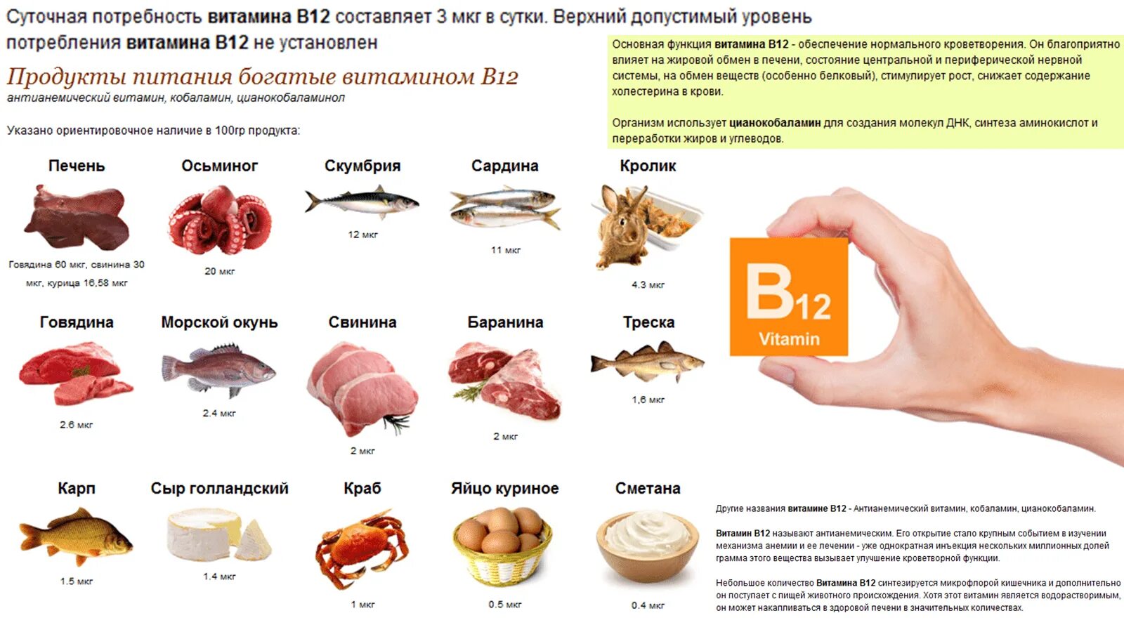 Продукты содержащие витамин в12 и в6. Источники витамина в12 в продуктах питания. Продукты богатые витамином в12. Продукты богатые витамином в12 таблица.