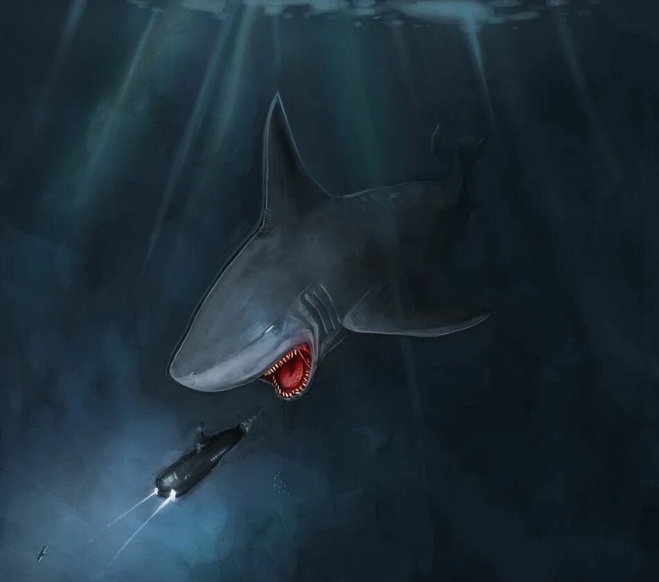 Megalodon shark. Акула мегалодон. мегалодон кархариус. страшные акулы мегалодон. carcharodon megalodon.
