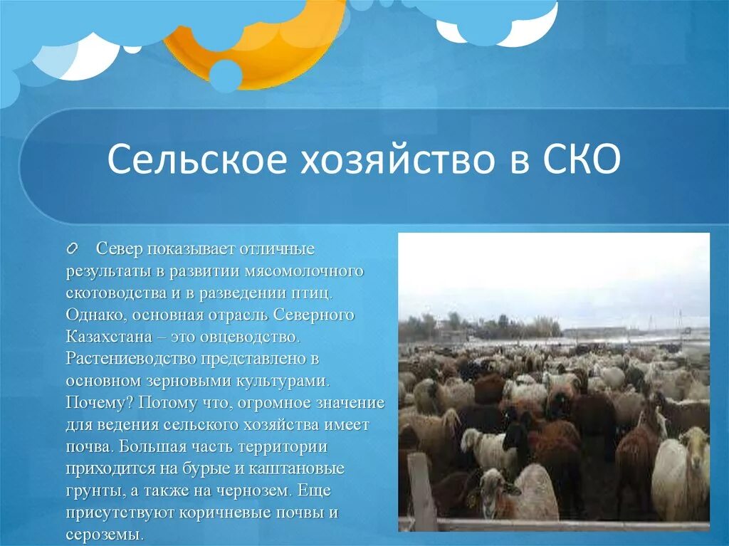 Отрасли сельского хозяйства казахстана. Специализация животноводства. Структура сельского хозяйства казахстана. Сельскохозяйственная промышленность. Агропромышленный комплекс презентация.