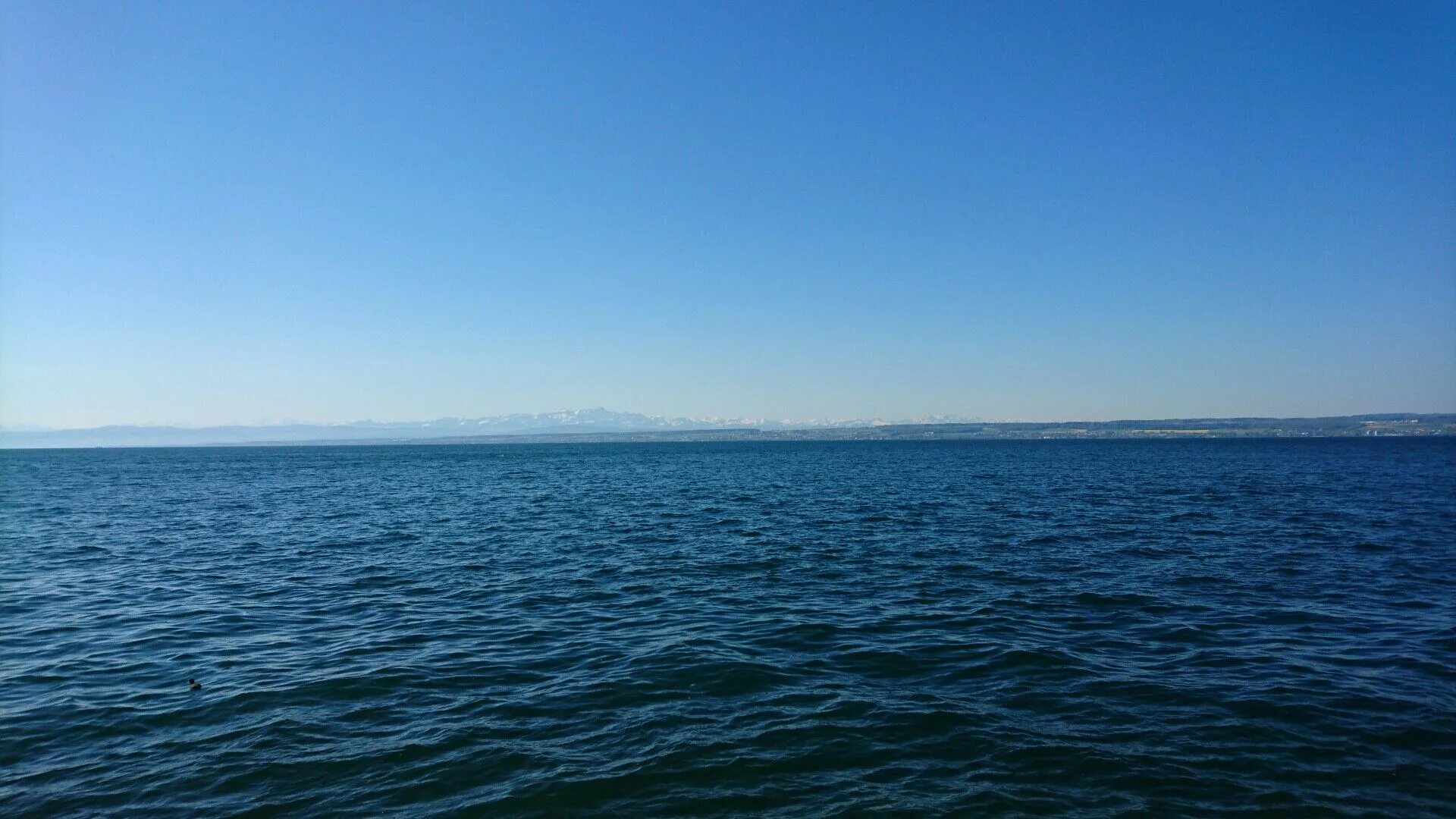 Домашкинское водохранилище бузулукский район. Домашкинское водохранилище. Озеро Мичиган Чикаго. Фото Домашкинское водохранилище. Домашкинское водохранилище карта.