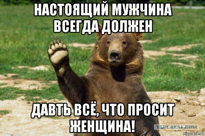 здравствуйте поняла. моя твоя не понимать прикол. здравствуйте вам нужно выйти на работу 1 января. феномен чайлдфри в современном обществе и культуре. вот вам деньги скажите как правильно.