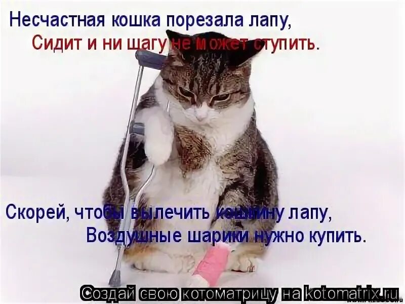 стихотворение удивительная кошка. несчастная кошка порезала лапу сидит и ни шагу не может ступить. стих несчастная кошка порезала лапу. несчастная кошка порезала. несчастная кошка порезала лапу сидит.