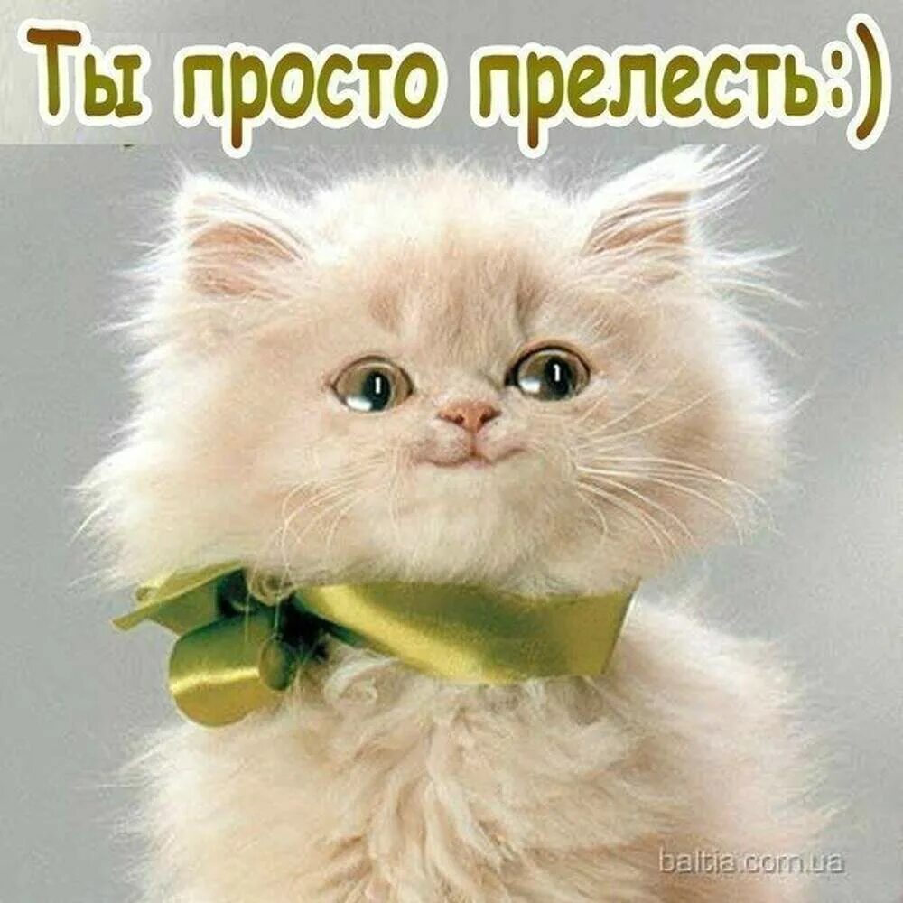 Какую нибудь хорошенькую