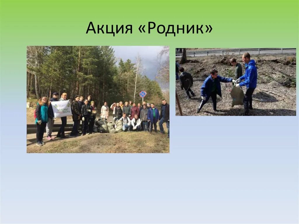 Акция родники. Живи родник живи. Акция живи родник в доу. Акция родники. Слайд приветствия для презентации.
