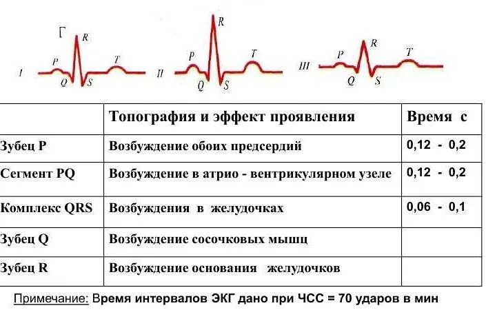 Мс сердца. Кардиограмма сердца расшифровка норма. Расшифровка ЭКГ показатели нормы. ЭКГ сердца в норме показатели. Нормы зубцов ЭКГ таблица.