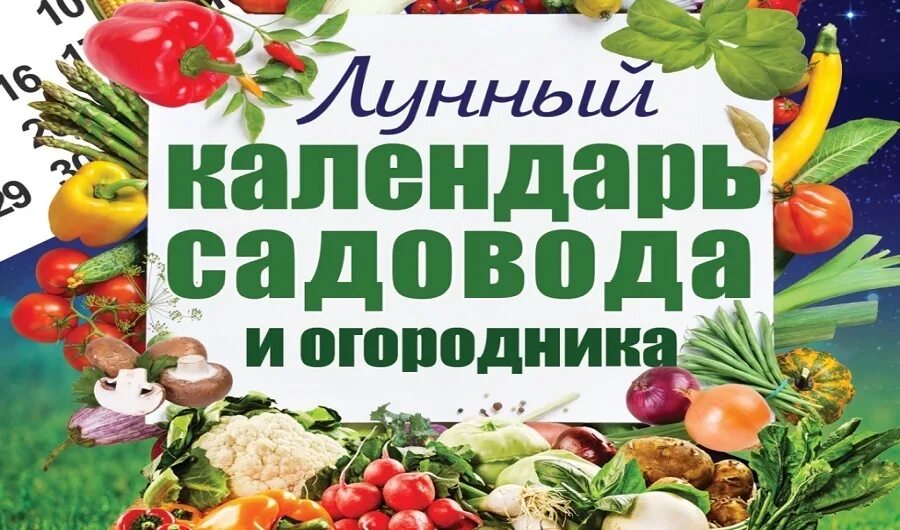 Календарь садовода. Лунный календарь садовода и огородника. Лунный посевной календарь садовода и огородника. Лунный посевной календарь на март 2022. Лунный посевной календарь цветовода на март 2024