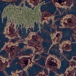 Ground bone