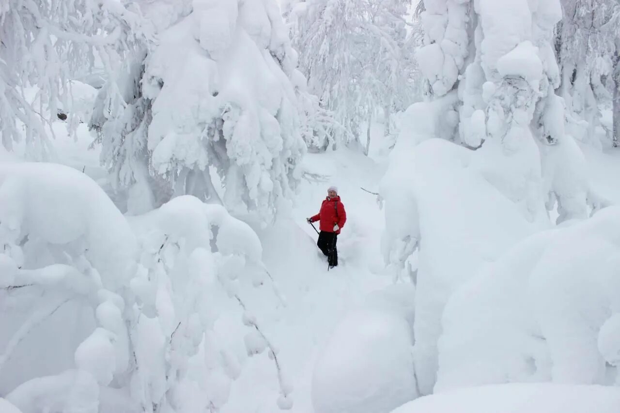 слова песни русская зима. снежинки на ресницах таяли. песня зима зима кругом снега слушать. вот зима кругом бело красев ноты. зима зима кругом снега.
