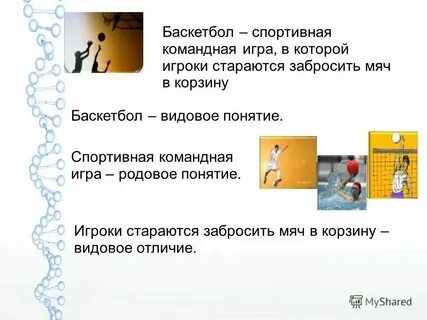 Спортивное упражнение определение