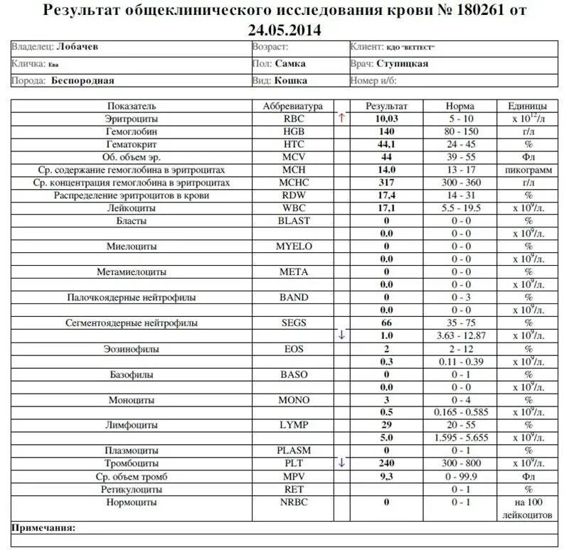 Кровь сегментоядерные повышены у ребенка. Нейтрофилы общий анализ крови расшифровка. Анализ крови расшифровка палочкоядерные нейтрофилы. Нейтрофилы в анализе крови норма. ОАК сегментоядерные нейтрофилы норма.