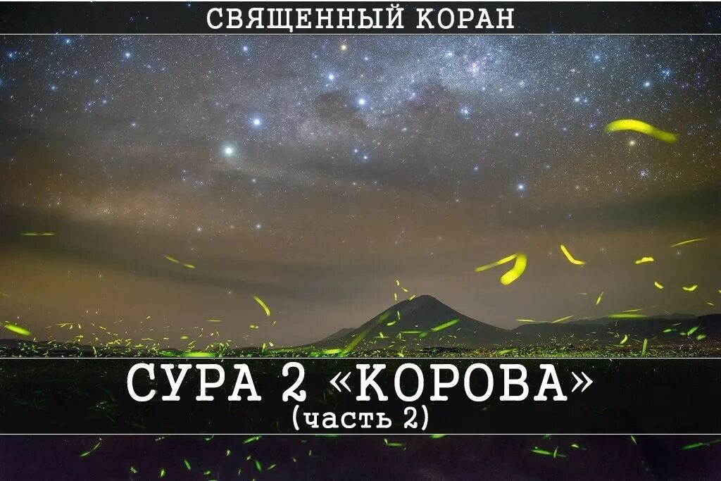 Аль Бакара корова. Сура 2:153. Сура 2. корова, 158-й аят..