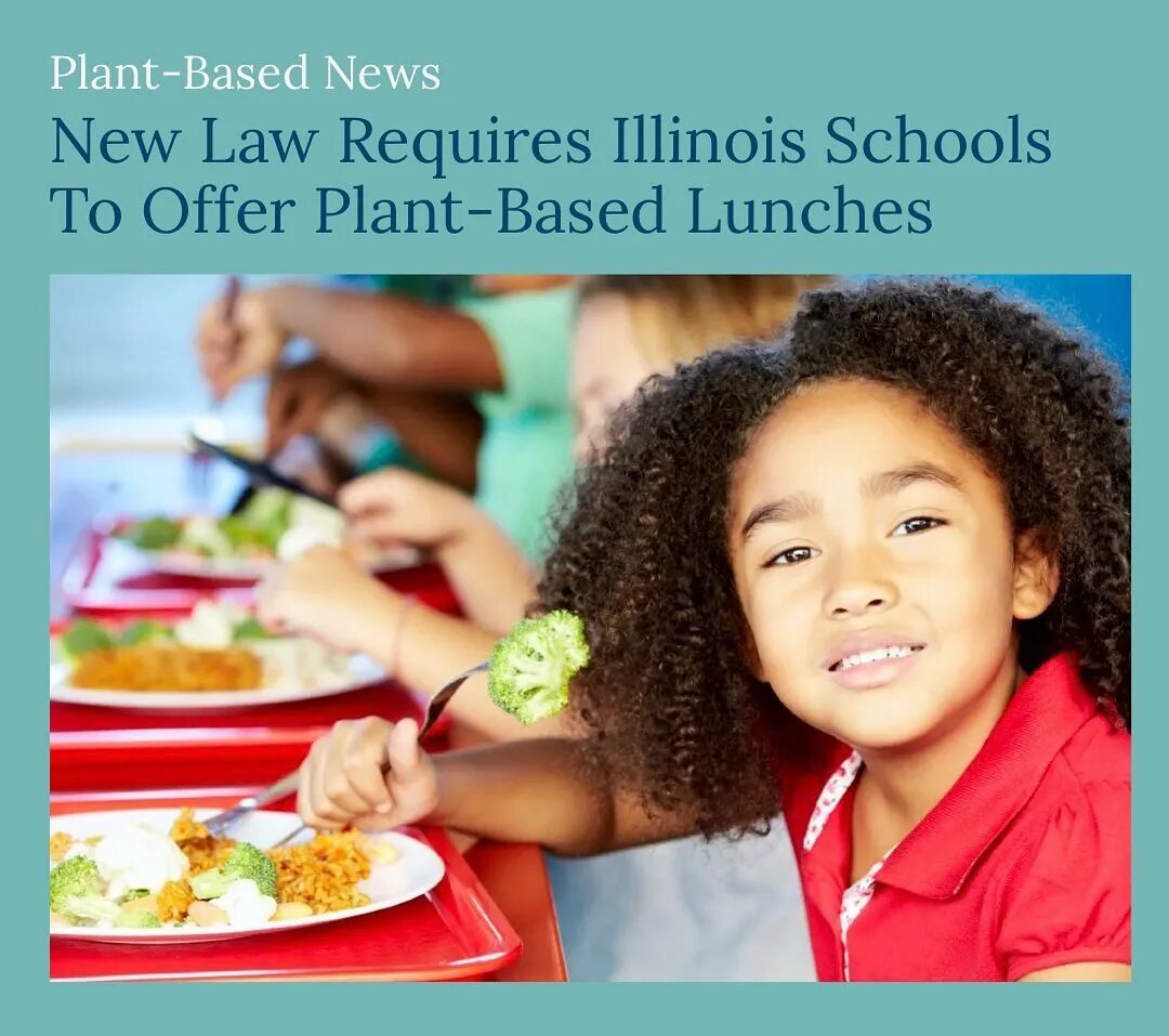 доки доки литературный клуб мемы. Hige wo soru. клятва любви дорама сяо чжан. Death note фильм 2017. марго элис робби горячее.