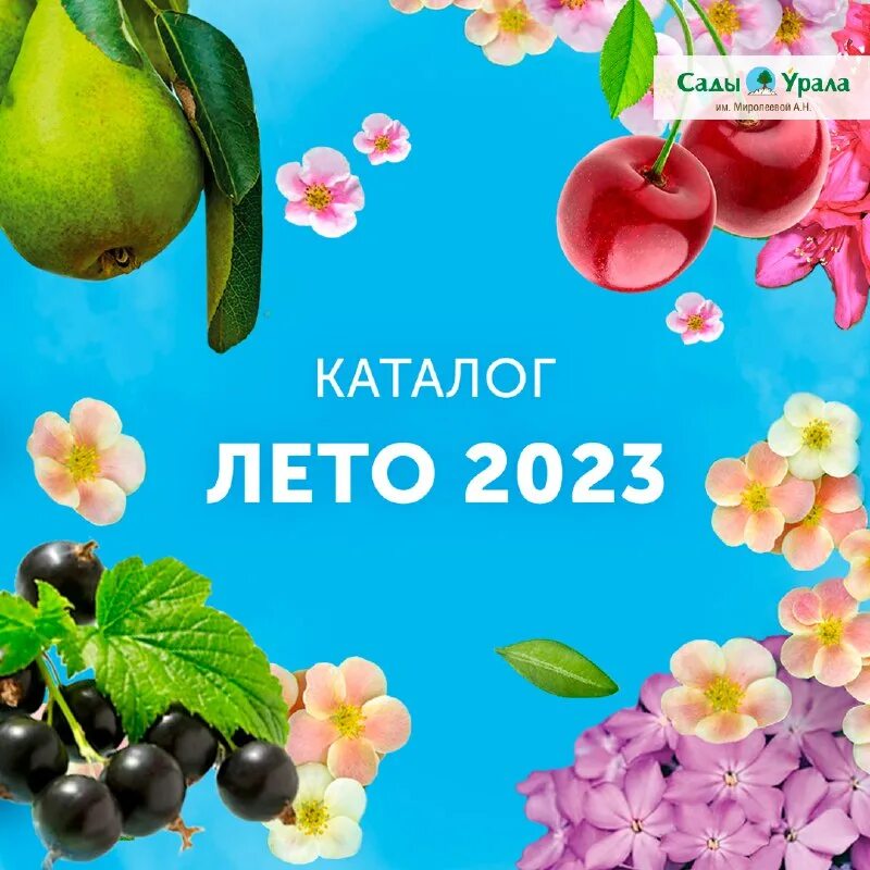 питомник сады урала каталог на весну. питомник сады россии. сады урала саженцы. сады урала саженцы. сады урала.