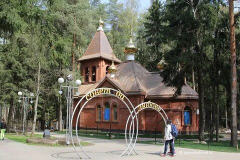 Домодедовский парк елочки