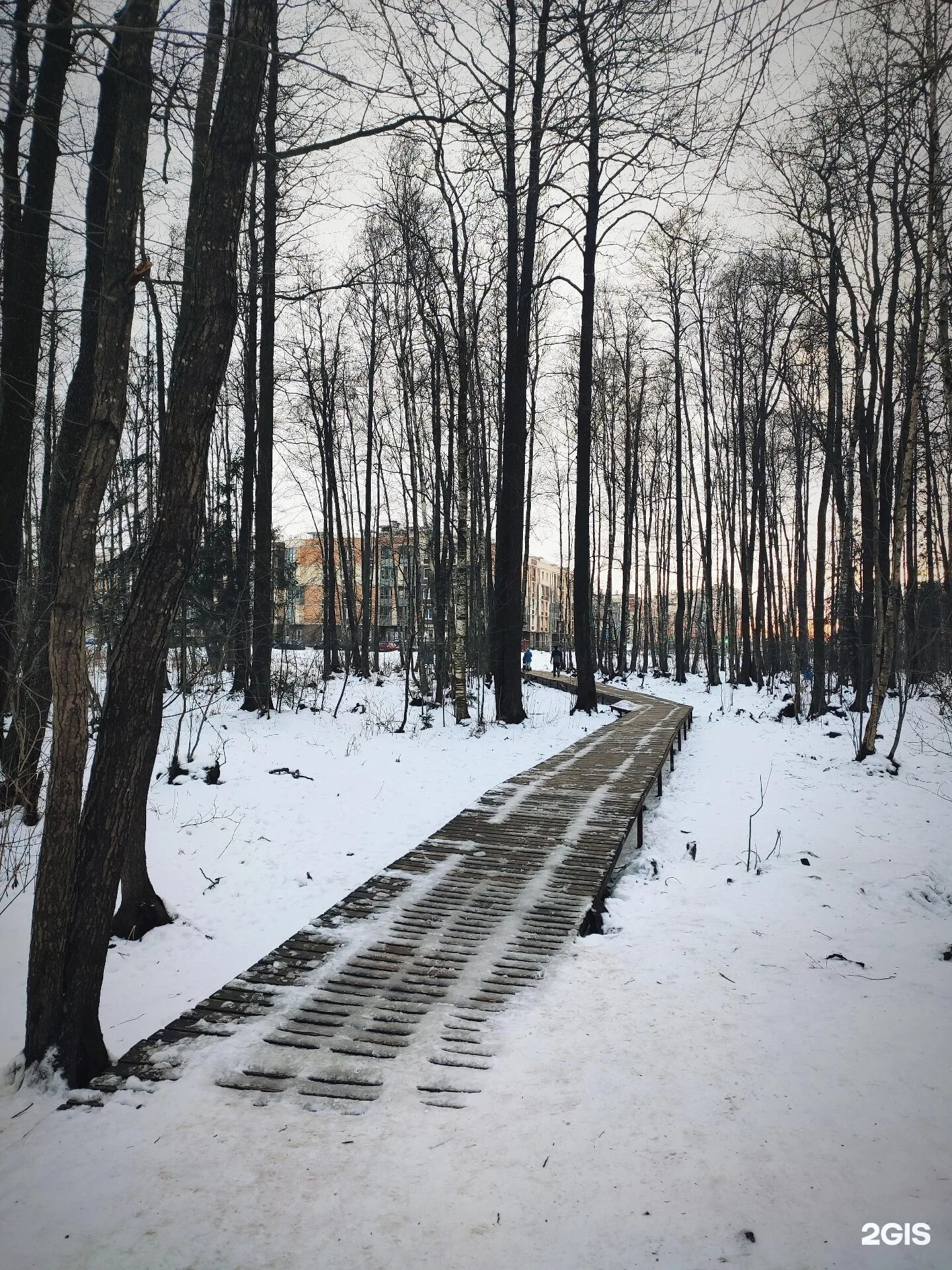 Юнтоловский заказник спб