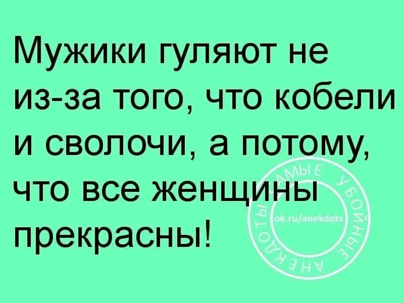 Погулял мужик. Статусы про мужиков сволочей. Мужики сволочи. Все мужики гуляют. Загулял мужик.