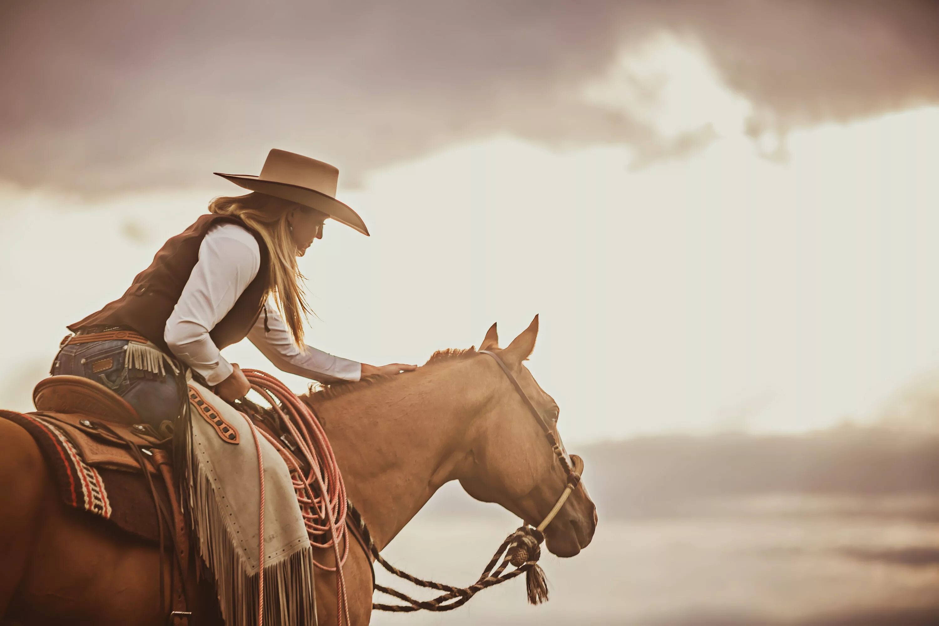 Country and western. Конюшня вестерн Хорс. Ковгерл дикого Запада. Надин вестерн. Ковбои дикого Запада.