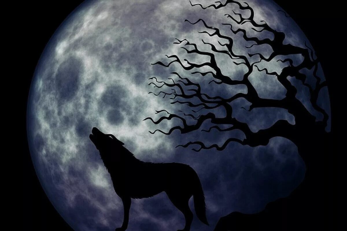 Волк воет на луну. Волк и Луна. Волк на фоне Луны. Собака на фоне Луны.