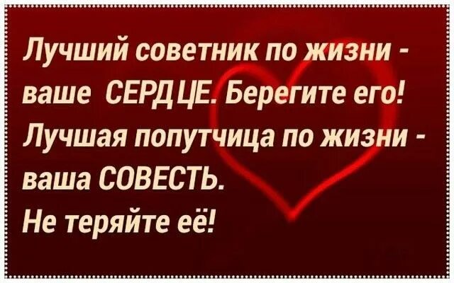 Приведу пример из жизни совесть Совесть долг чувство