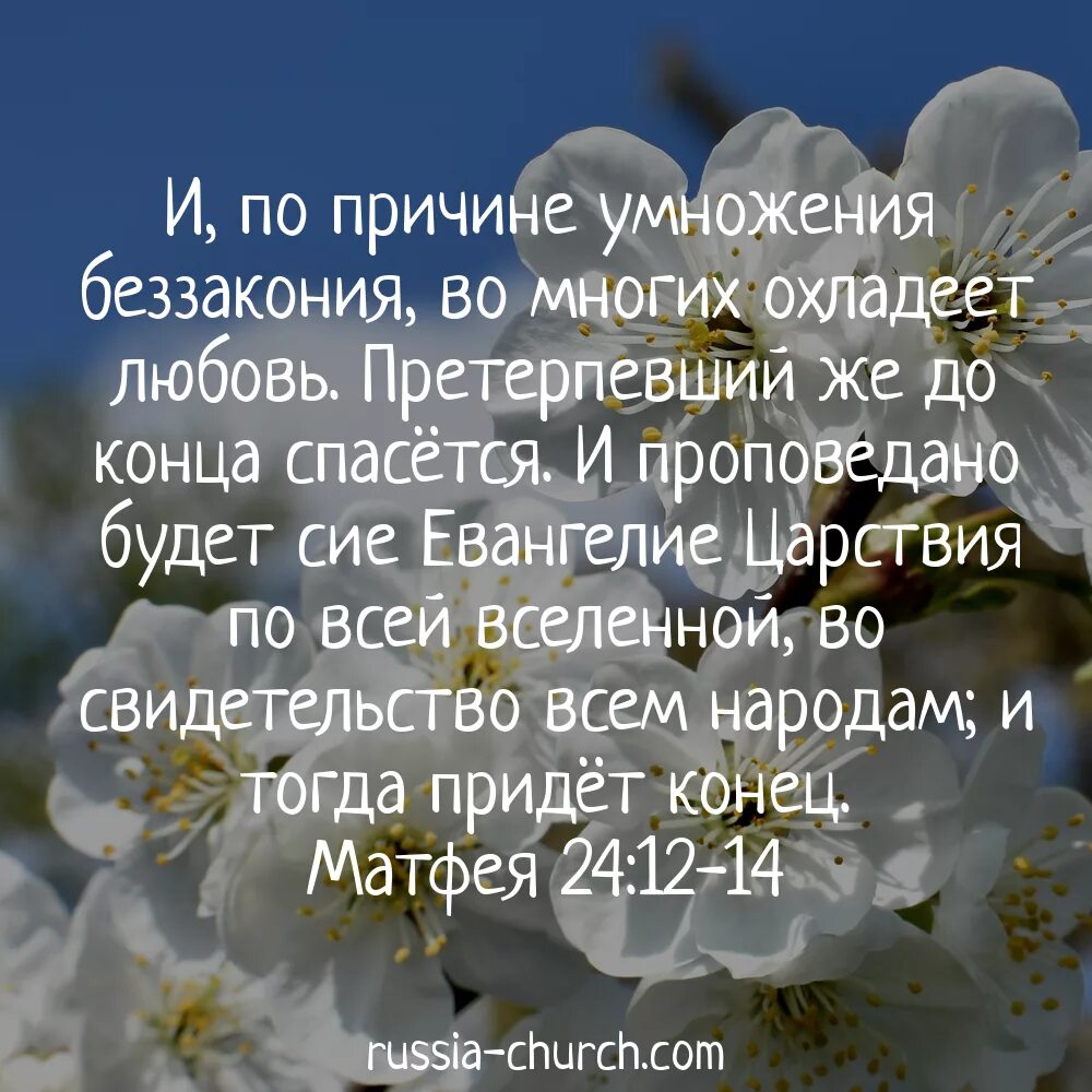 Время беззакония. Христианские стихи из Библии. Христианские цитаты из Библии. Наставления из Библии. Претерпевший до конца спасется Библия.