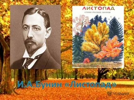 Рассказ бунина листопад